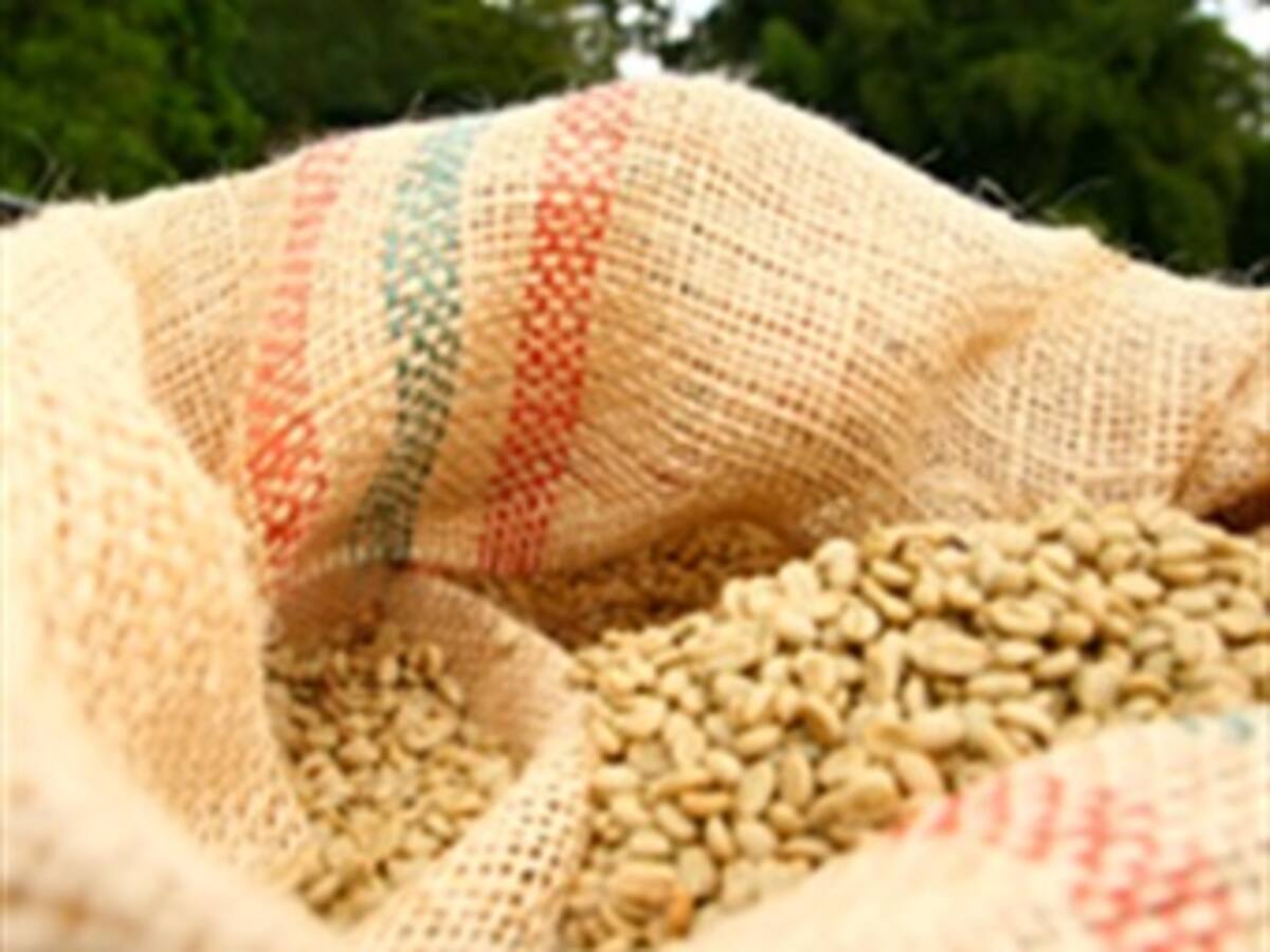 Precio del café nada que repunta