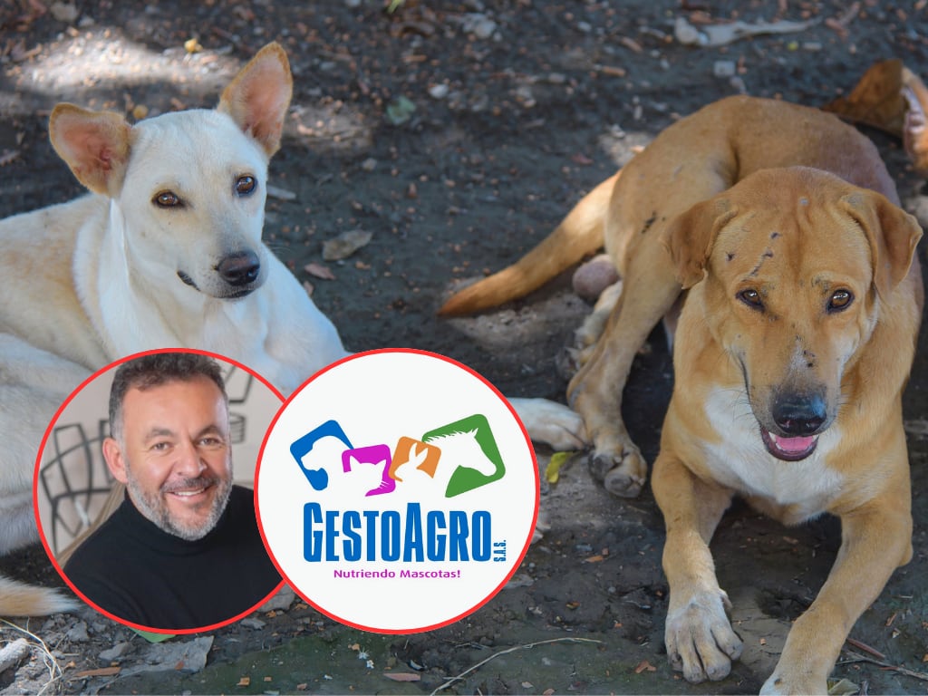 Gracias a Gesto Agro, Yanet podrá alimentarlos durante varios meses. Foto: Carlos Muñoz - CEO Gesto Agro.