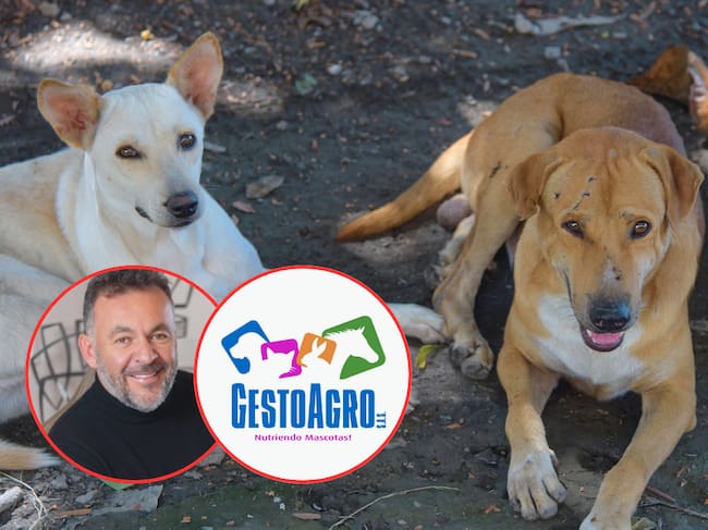 Gracias a Gesto Agro, Yanet podrá alimentarlos durante varios meses. Foto: Carlos Muñoz - CEO Gesto Agro.