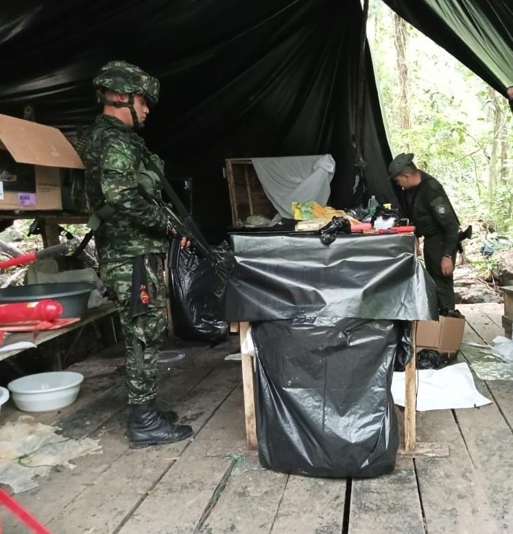 Tres complejos cocaleros hallados por las autoridades en Norte de Santander