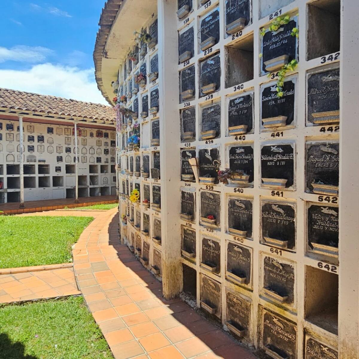La Unidad de Búsqueda inició la cuarta fase forense en Granada, Antioquia