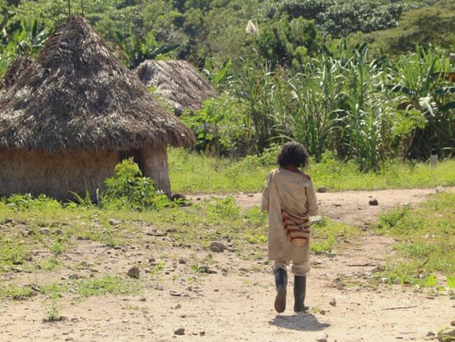 En la Guajira, además de sed, los campesinos perdieron todos sus cultivos y emigraron hacia Riohacha