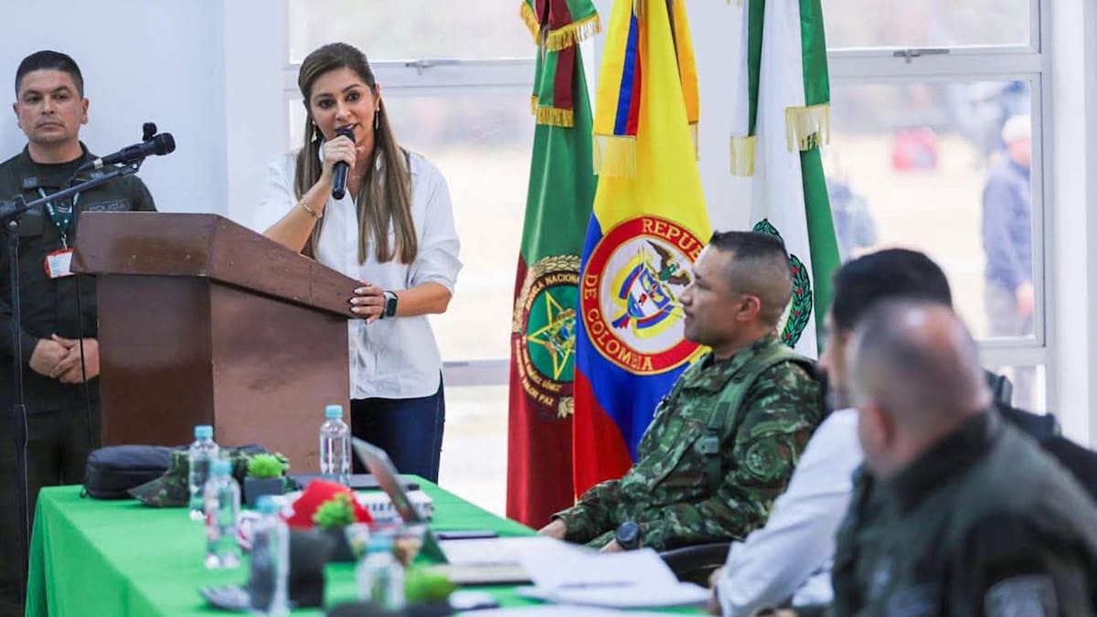 Ofrecerán hasta $100 millones por responsables de los incendios forestales en el Tolima