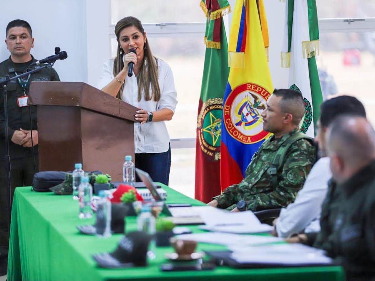 Ofrecerán hasta $100 millones por responsables de los incendios forestales en el Tolima