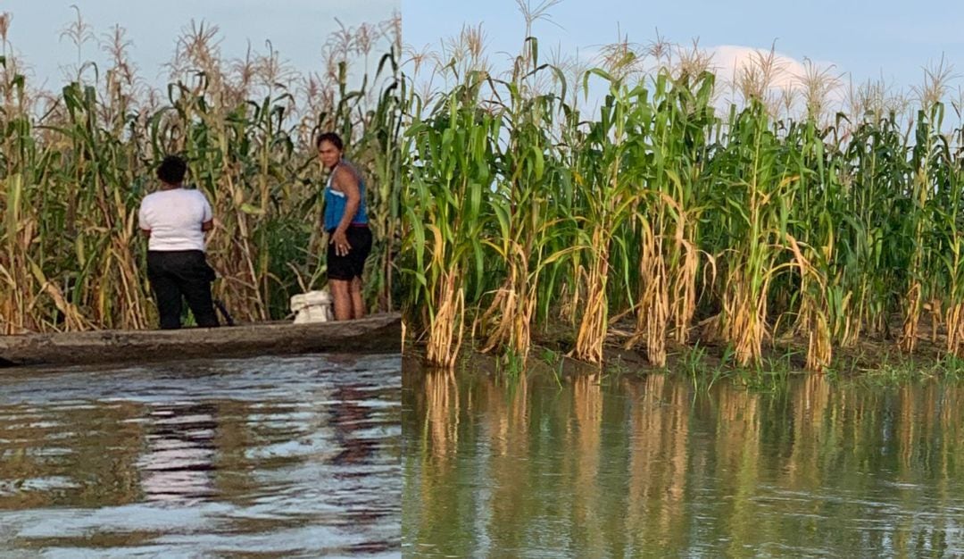 Inundaciones por desdordamiento del río Magdalena en zona rural de Pinillos, Bolívar
