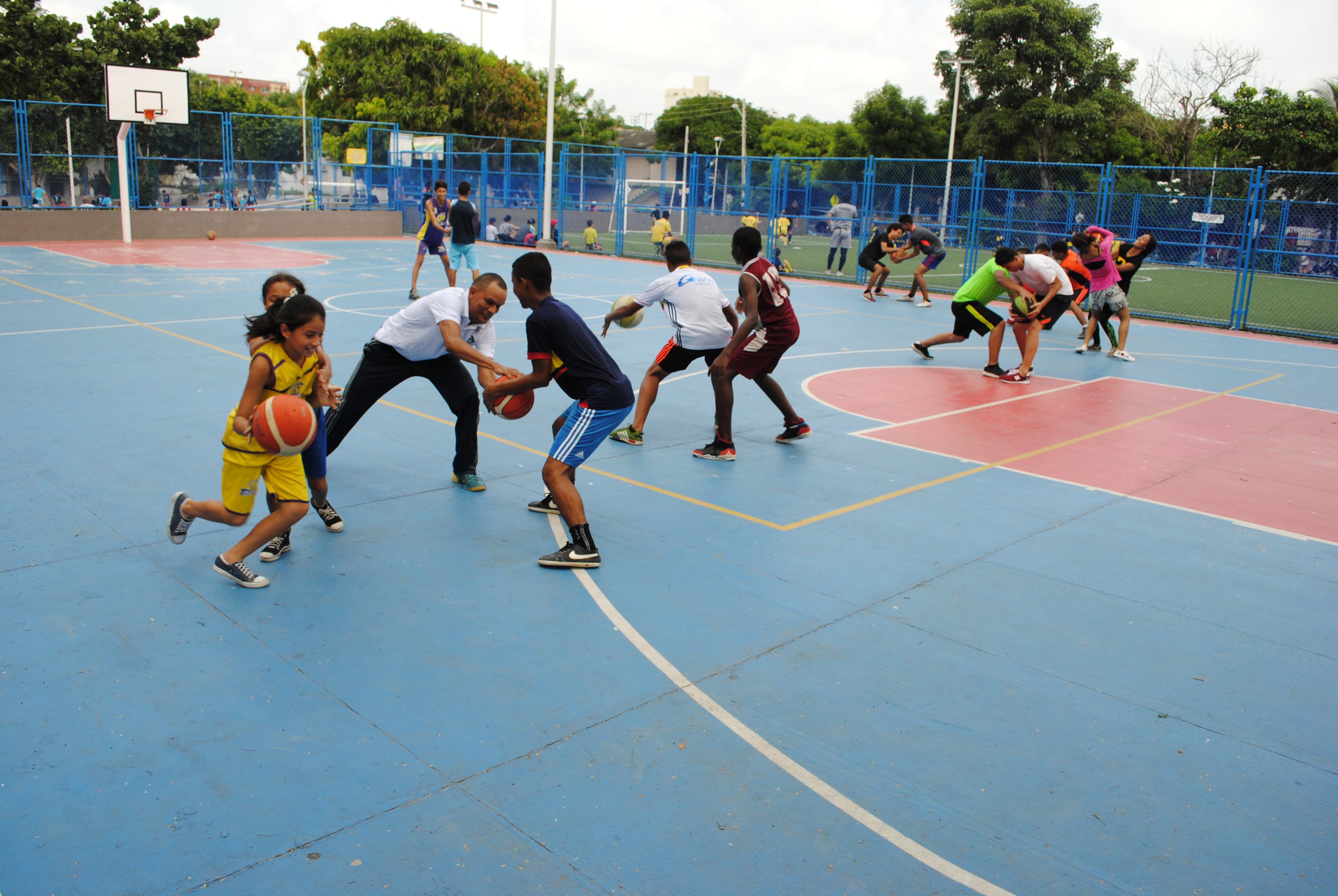 Imagen de referencia