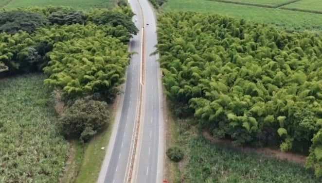 Vía Panamericana: Crédito: Nuevo Cauca.