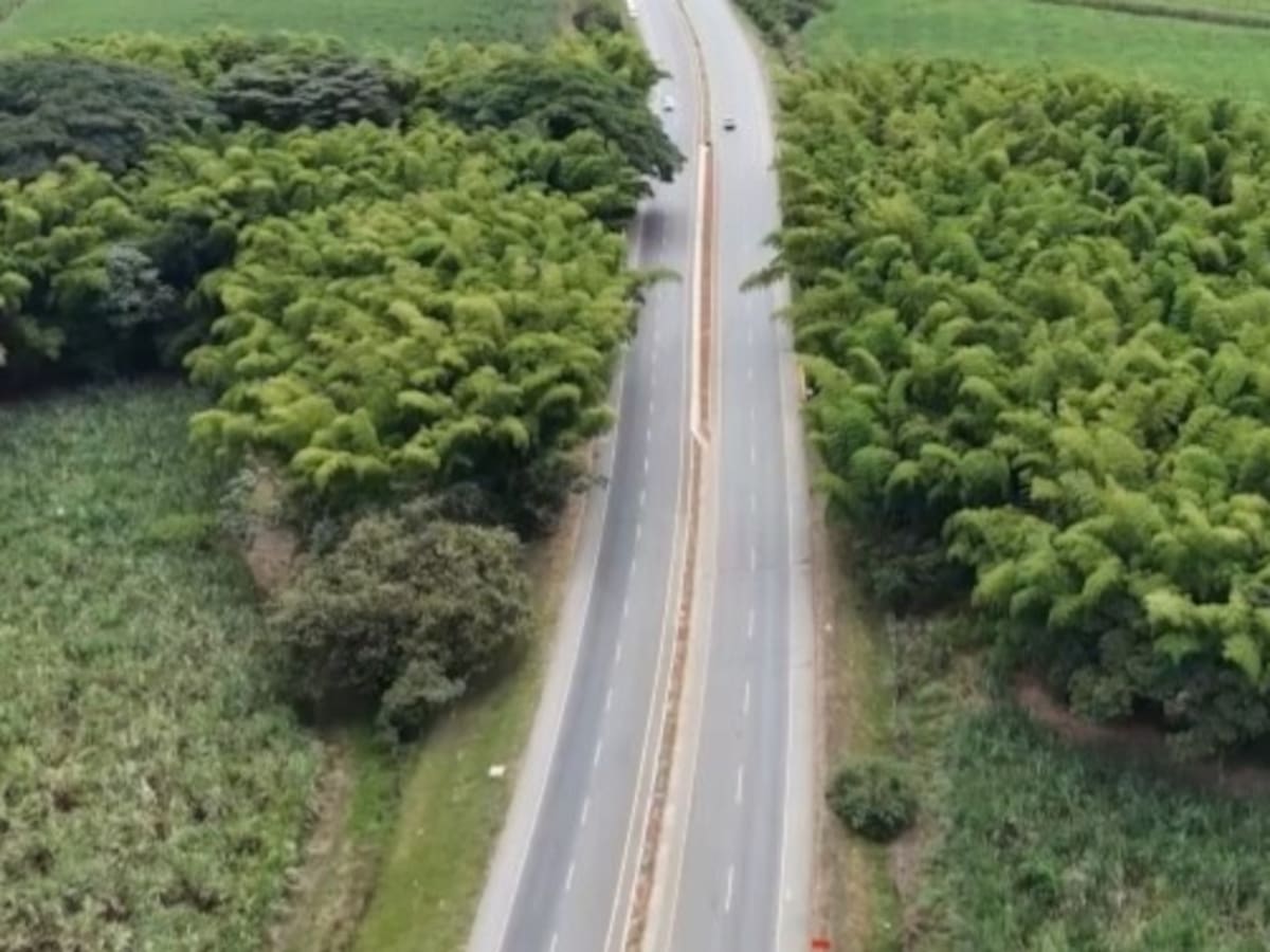 Hurtos y ataques armados en las vías paralizan la economía en el Cauca