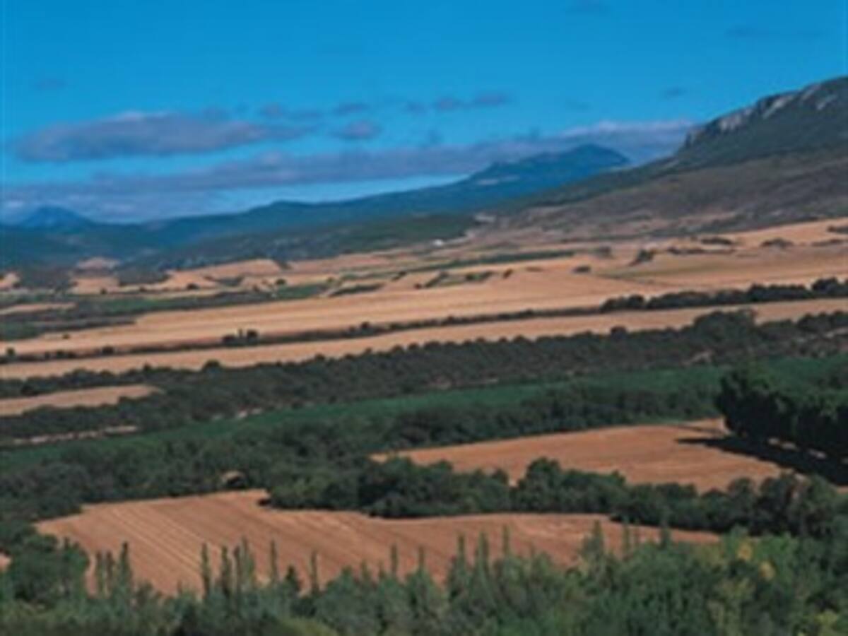 Gobierno ordena suspender extinción de dominio a 400 mil hectáreas para restitución de tierras