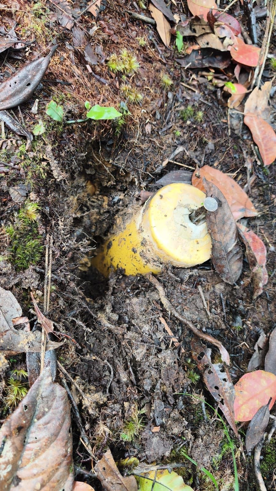 Minas antipersonales destruidas en Anorí- foto Brigada 14