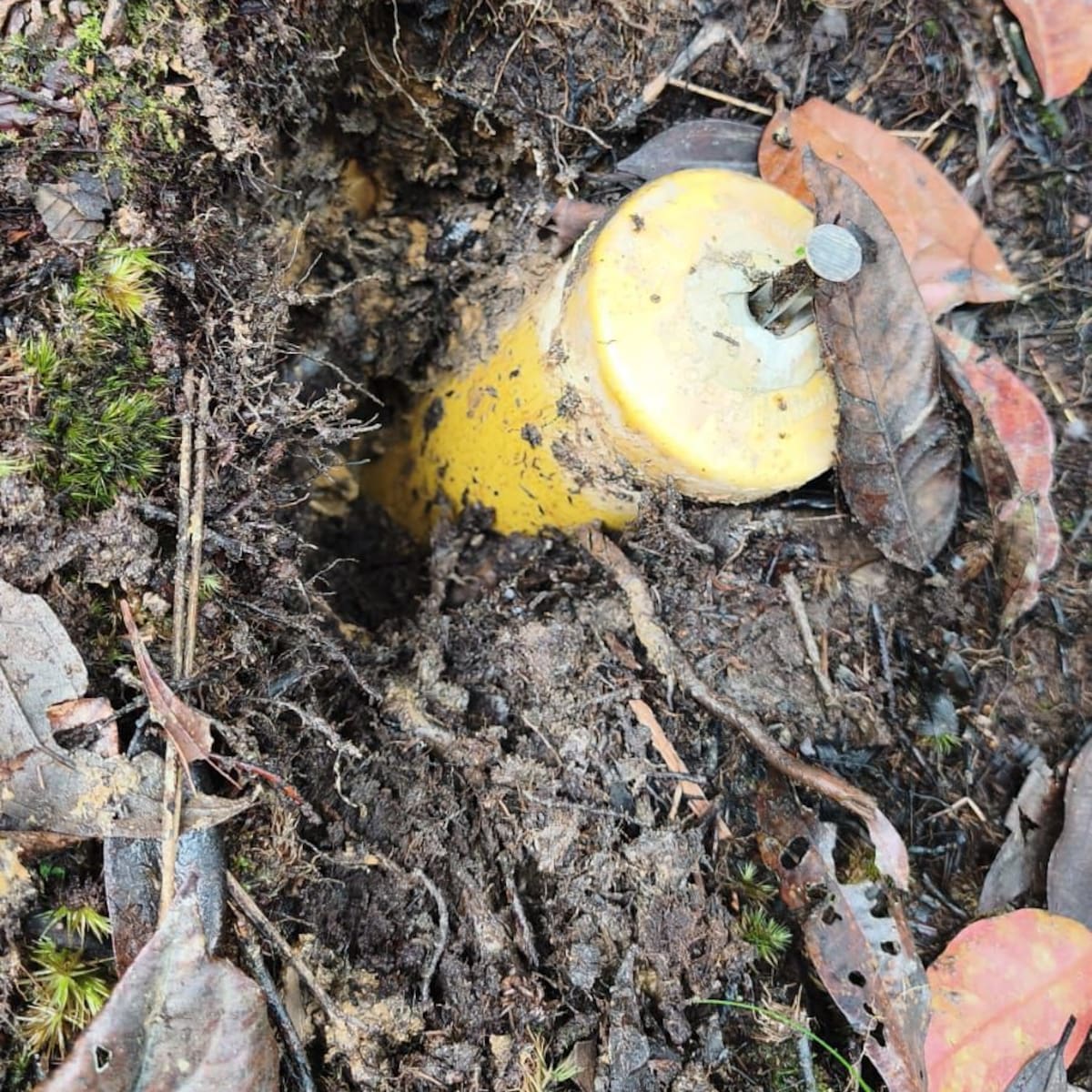 En zona rural de Anorí ubicaron ocho minas antipersonal y las destruyeron