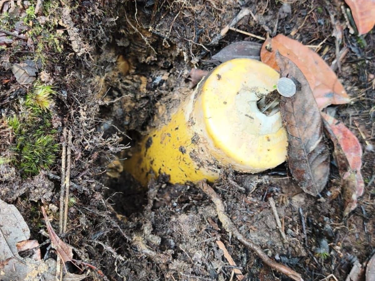 En zona rural de Anorí ubicaron ocho minas antipersonal y las destruyeron