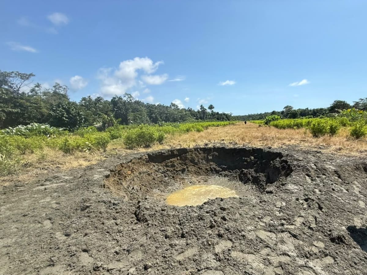 Policía y FAC destruyen pista clandestina usada por disidencias de ‘Mordisco’ en Buenaventura