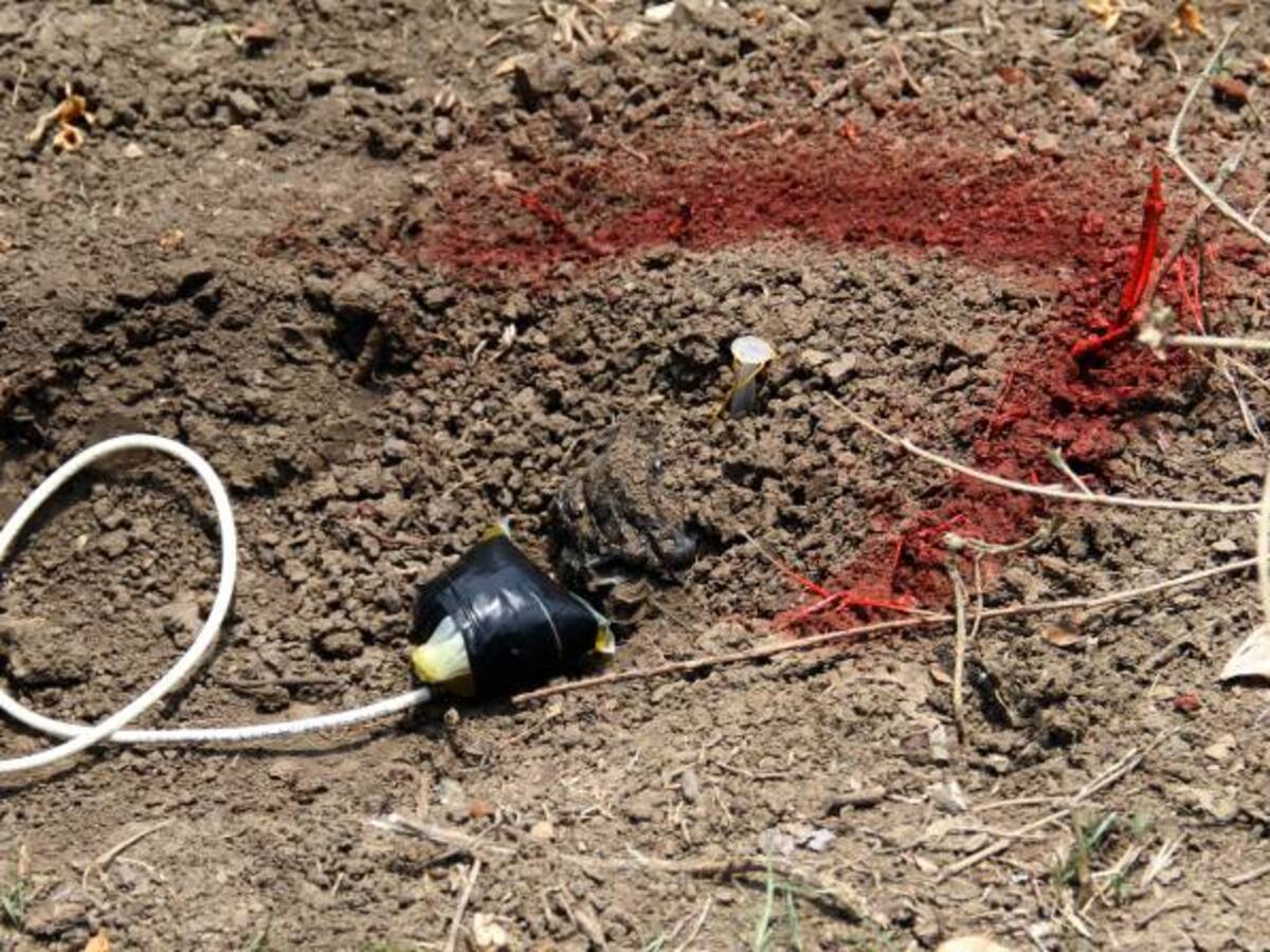 Gobierno creará tres brigadas de FF.MM. destinadas al desminado humanitario