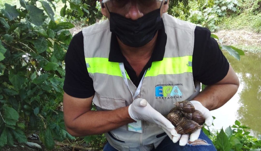 Los últimos casos fueron detectados en los barrios Las Gaviotas, Los Alpes y 13 de Junio