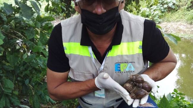 Los últimos casos fueron detectados en los barrios Las Gaviotas, Los Alpes y 13 de Junio