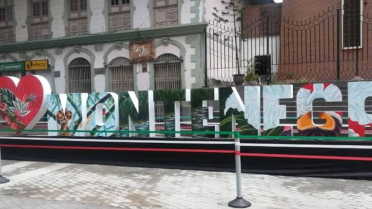 Secretario de Gobierno de Montenegro