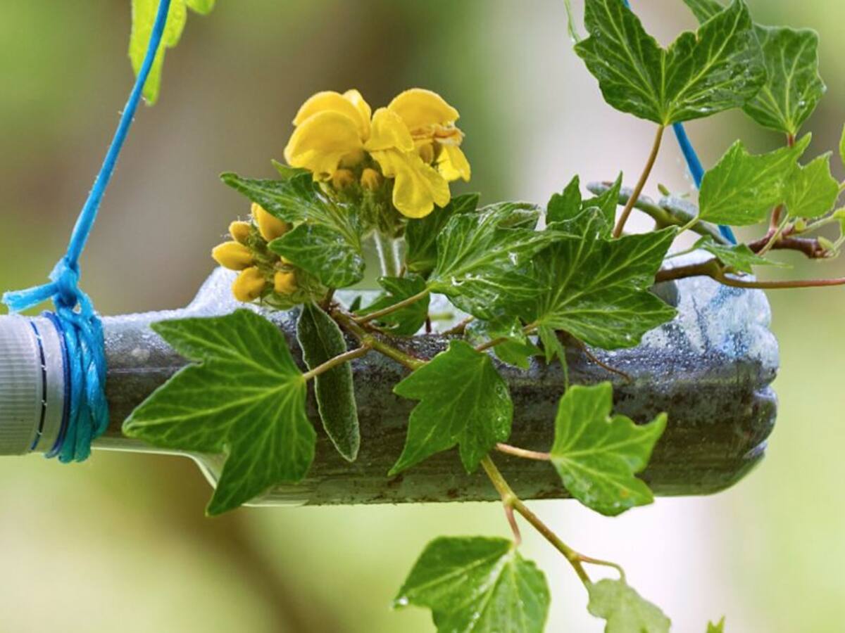 Día mundial del medio ambiente: Colombia trabaja en la economía circular