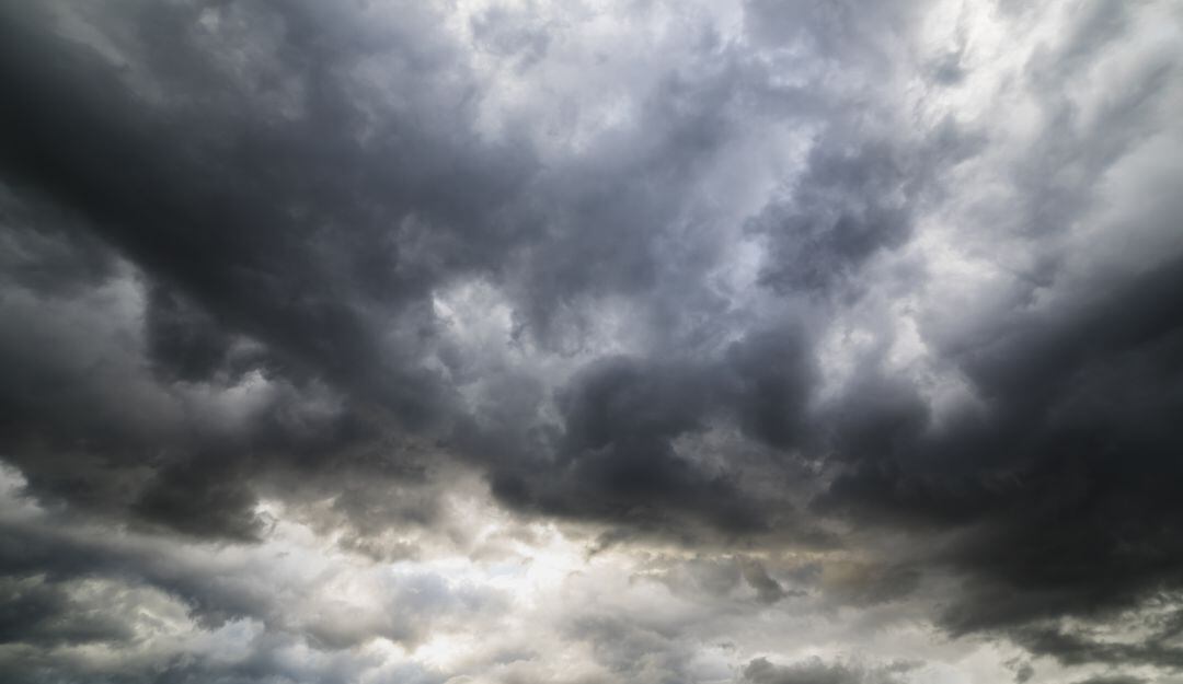 Imagen de referencia