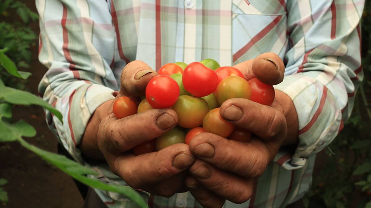 Cundinamarca se unió contra el hambre. Habla el gobernador, Nicolás García