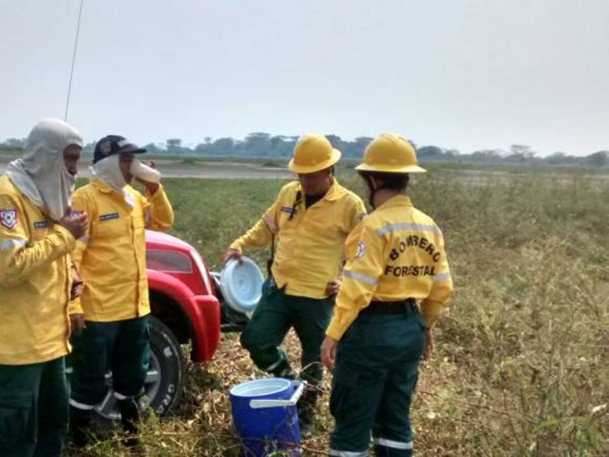Incendios forestales llegan hasta humedales en Santander
