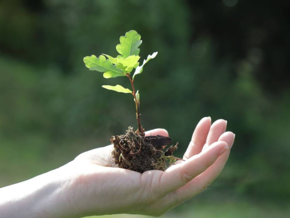¿Cuáles son los retos ambientales de Colombia?