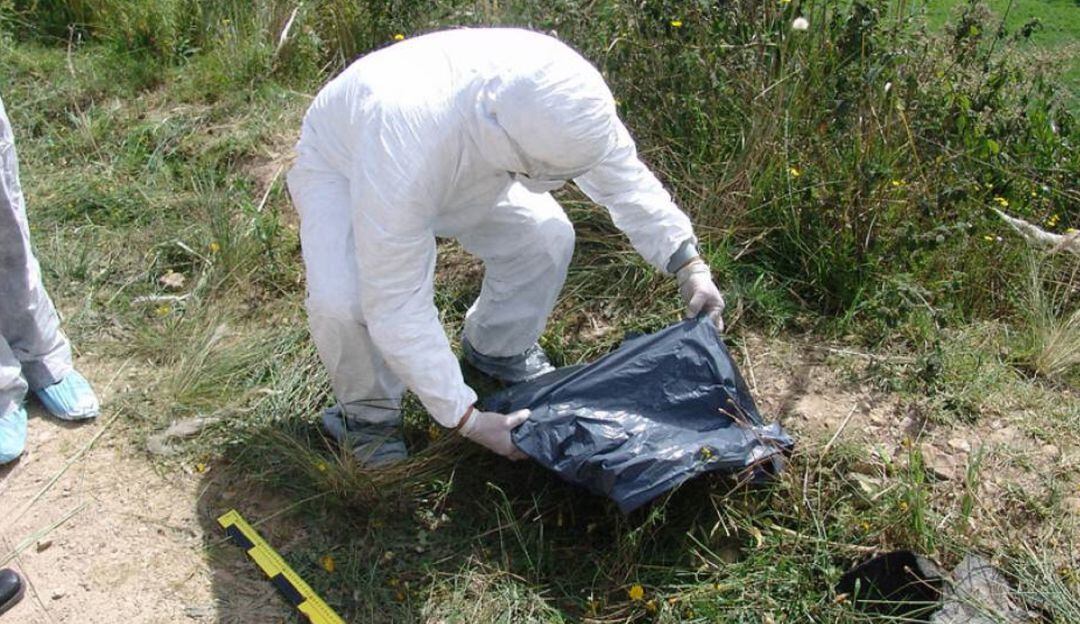 Segun informe preliminar, los cuerpos presentaban avanzado estado de descomposición y vestían camuflados.