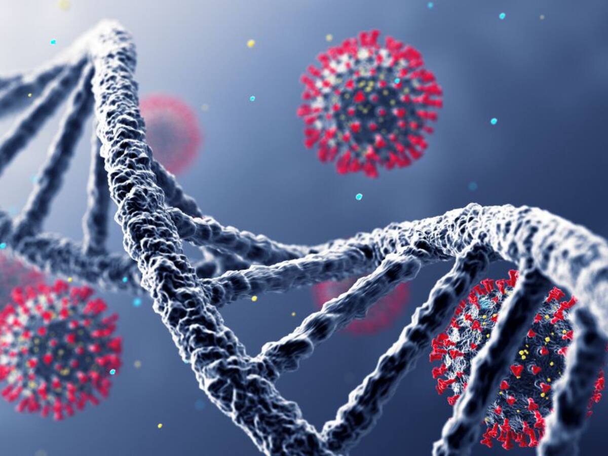 De 291% sería el riesgo de contagio COVID en estratos socioeconómicos bajos