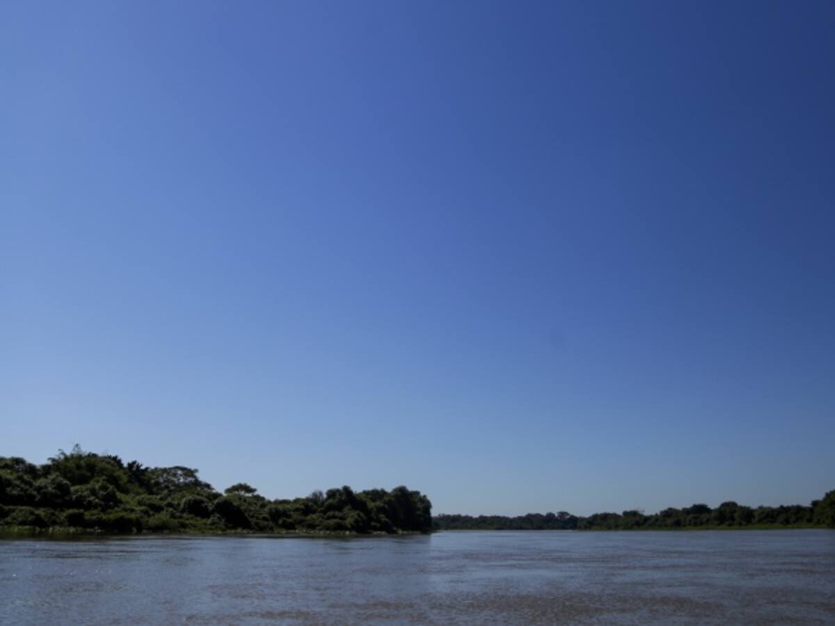 Hoy se celebra el Día Mundial de la Vida Silvestre