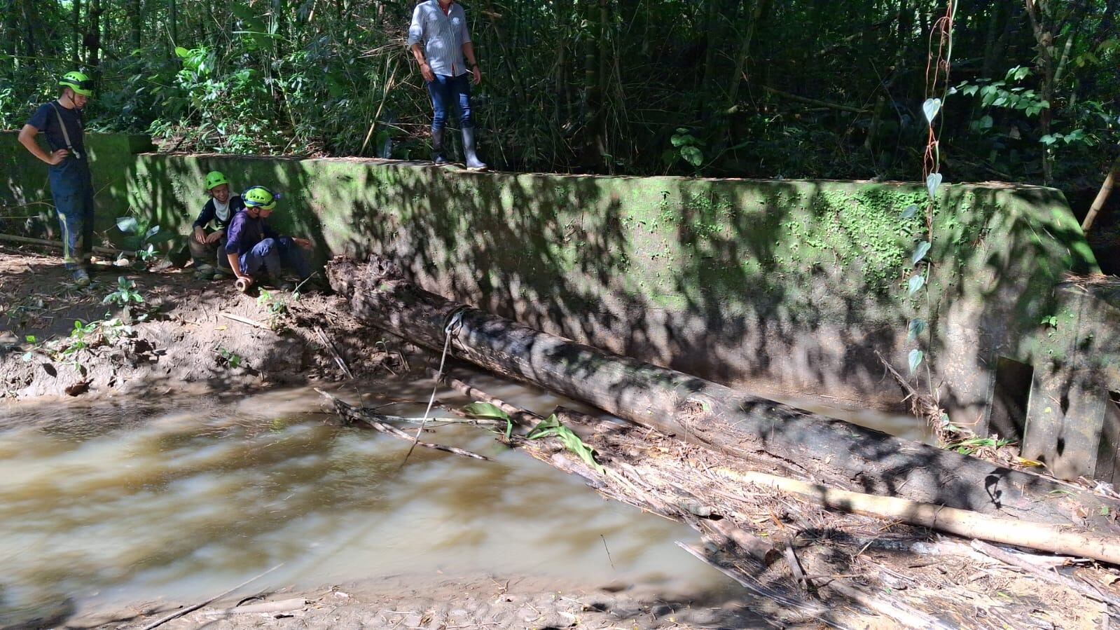 Foto Bomberos de Viterbo