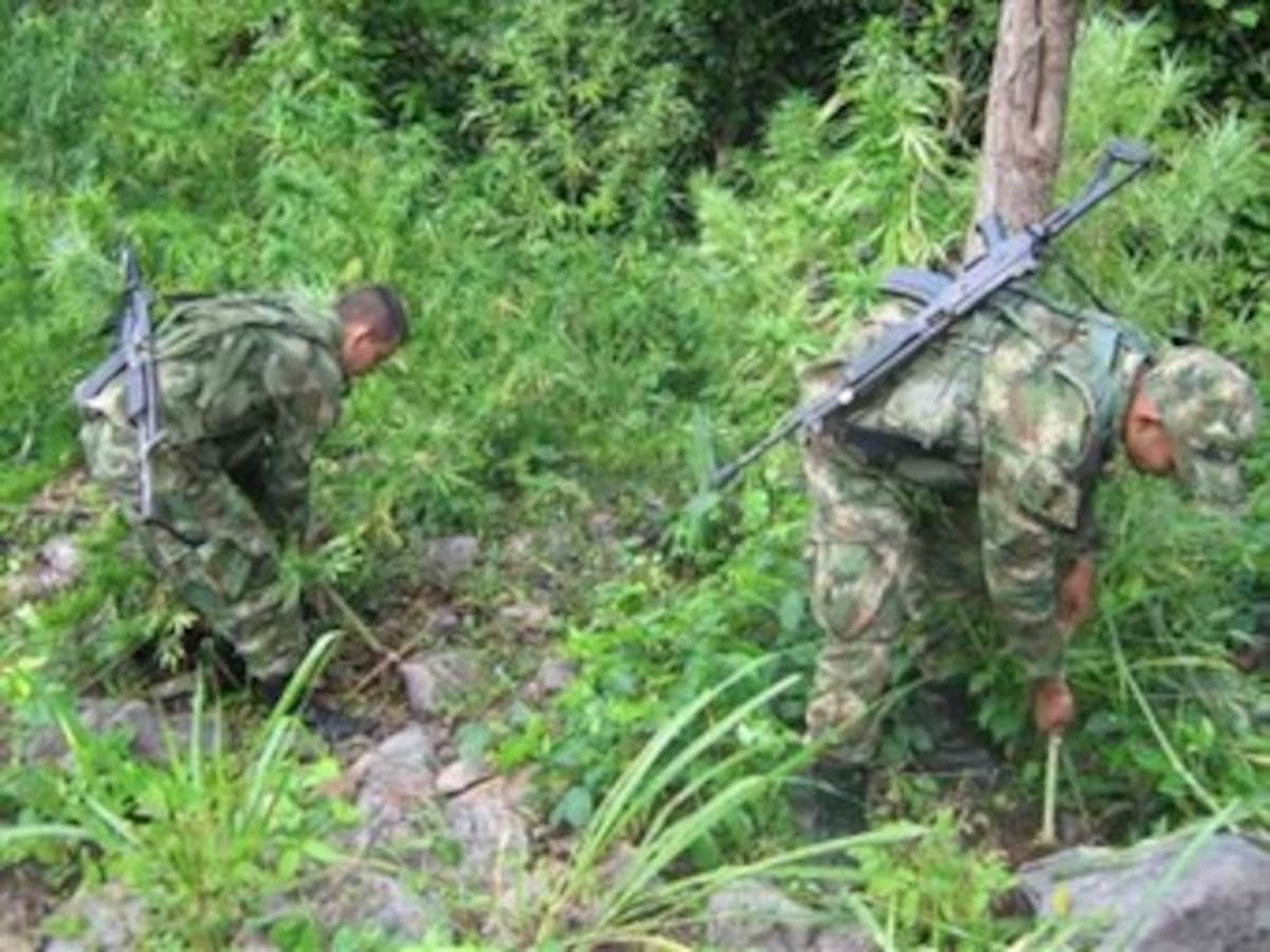 Consejo de Estado llama la atención al Ejército por artefactos explosivos