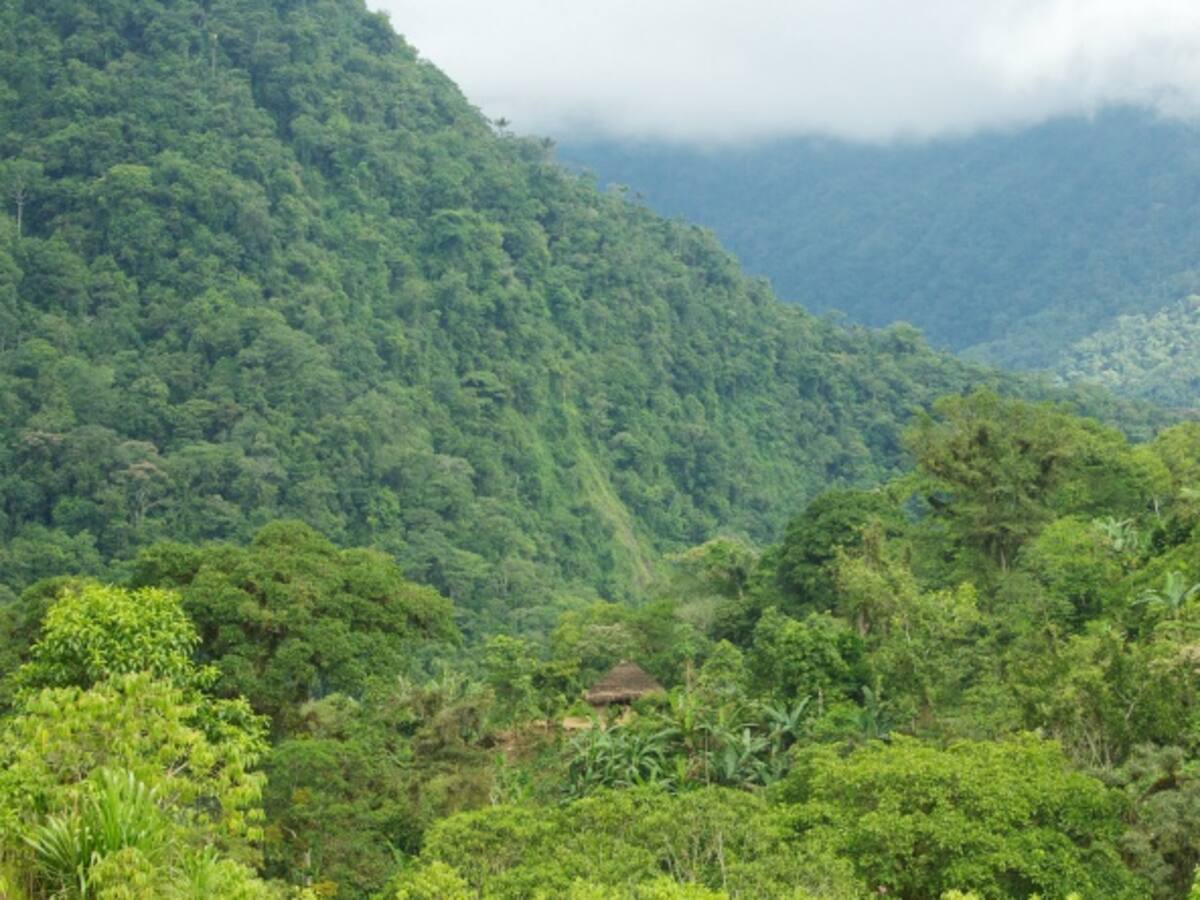 Buscan helicóptero que habría caído en la Sierra Nevada