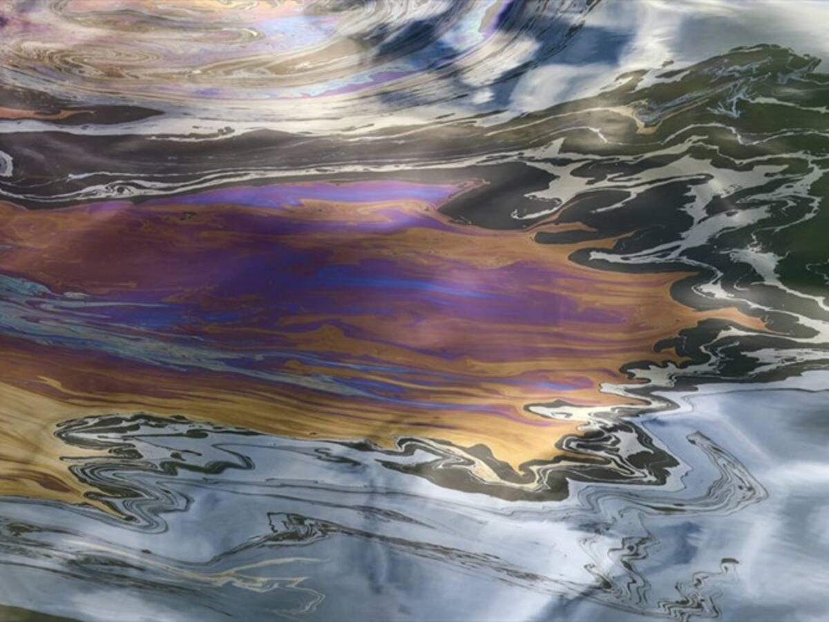 Anla desvirtúa afectación de cuerpos de agua en Puerto Nuevo