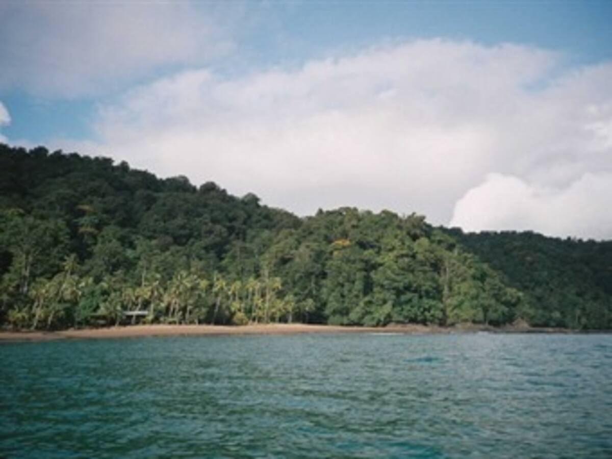 Riesgo de minas antipersonal en Chocó provoca desplazamiento