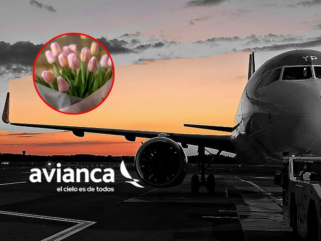 Avianca refuerza su liderazgo en transporte de flores y amplía su flota con imponente avión // Caracol Radio