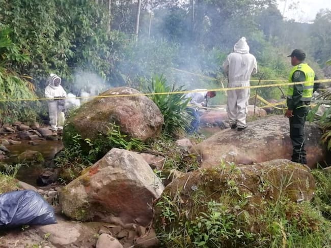 Niño murió por ataque de un enjambre de abejas en Cundinamarca