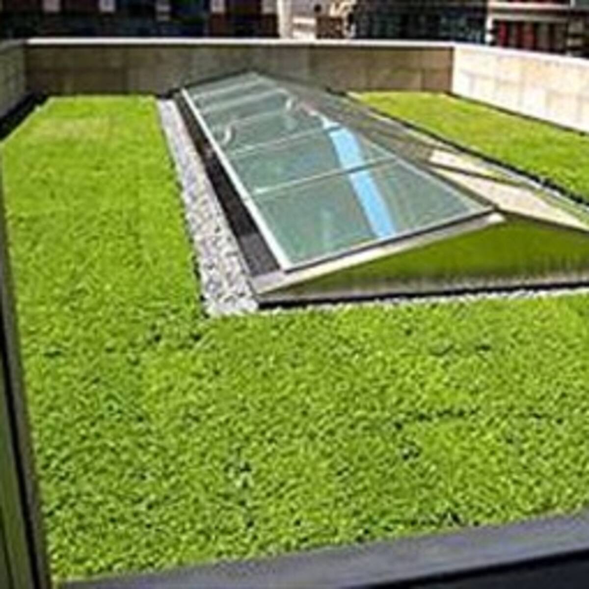 Techos ecológicos absorben contaminación de la ciudad