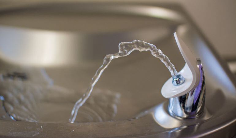 Imagen de referencia