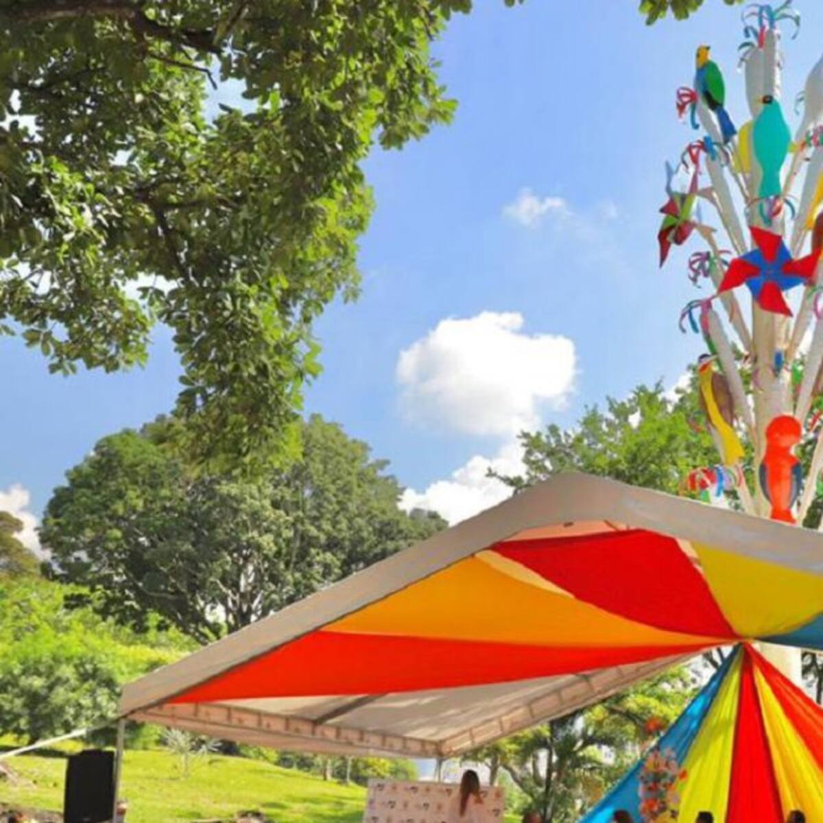 Presencial será la edición 21 del Festival de la Maceta