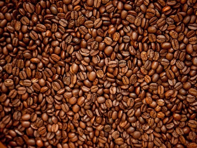 Joven indígena exporta café a Estados unidos