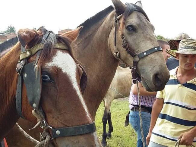 El Tribunal Administrativo del Tolima ordenó suspender la cabalgata sanjuanera