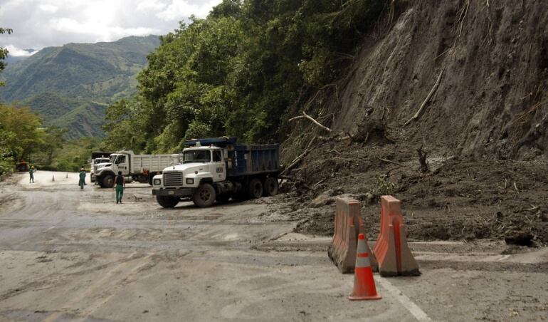 Imagen de referencia 