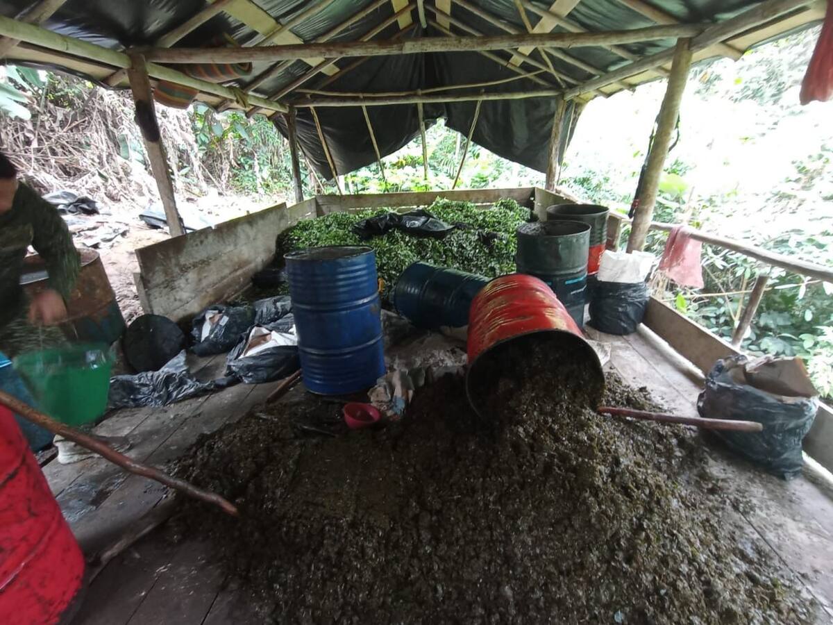 Ejército y Armada destruyeron laboratorio para el procesamiento de coca en Bolívar