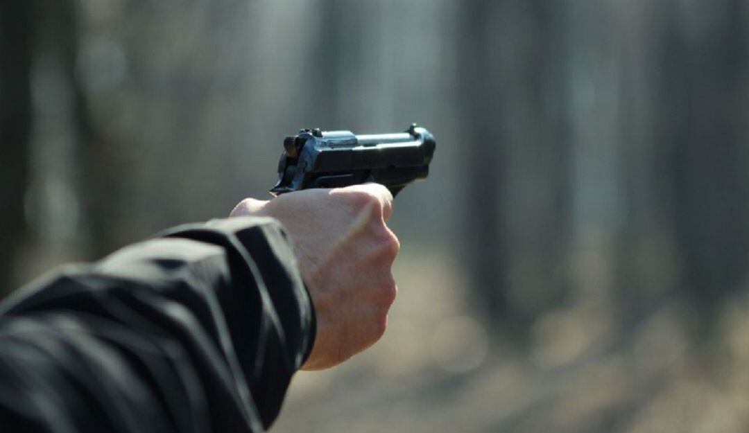 Imagen de referencia