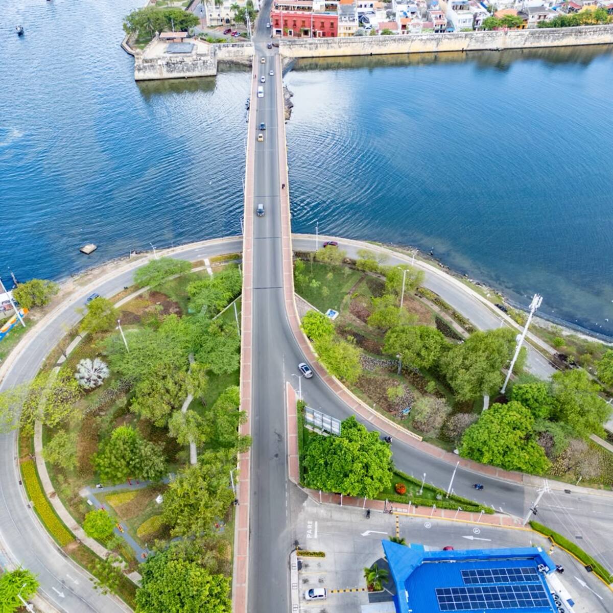 Distrito de Cartagena reporta más de 20 mil árboles sembrados en tres años