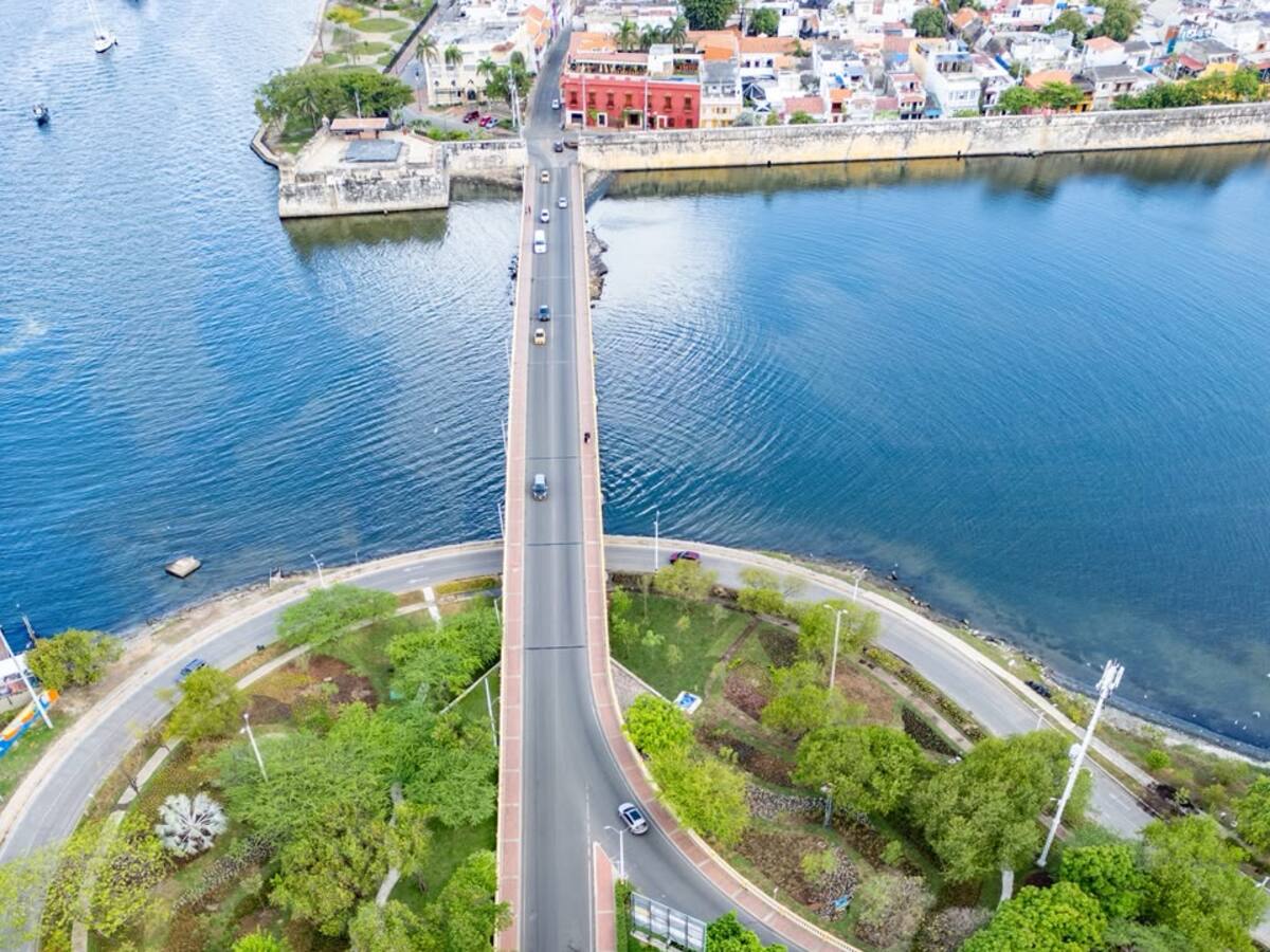Distrito de Cartagena reporta más de 20 mil árboles sembrados en tres años
