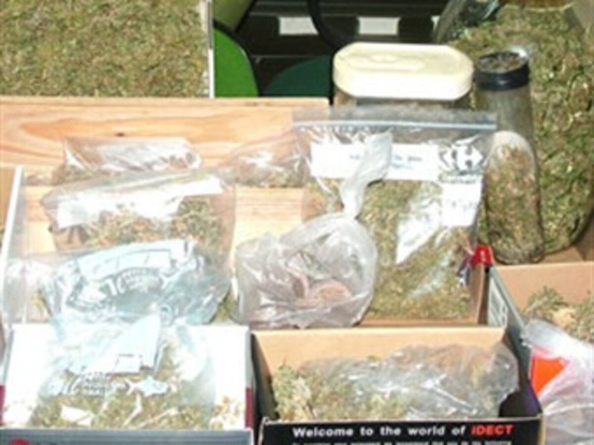 19 expendedores de drogas fueron capturados en Bolívar
