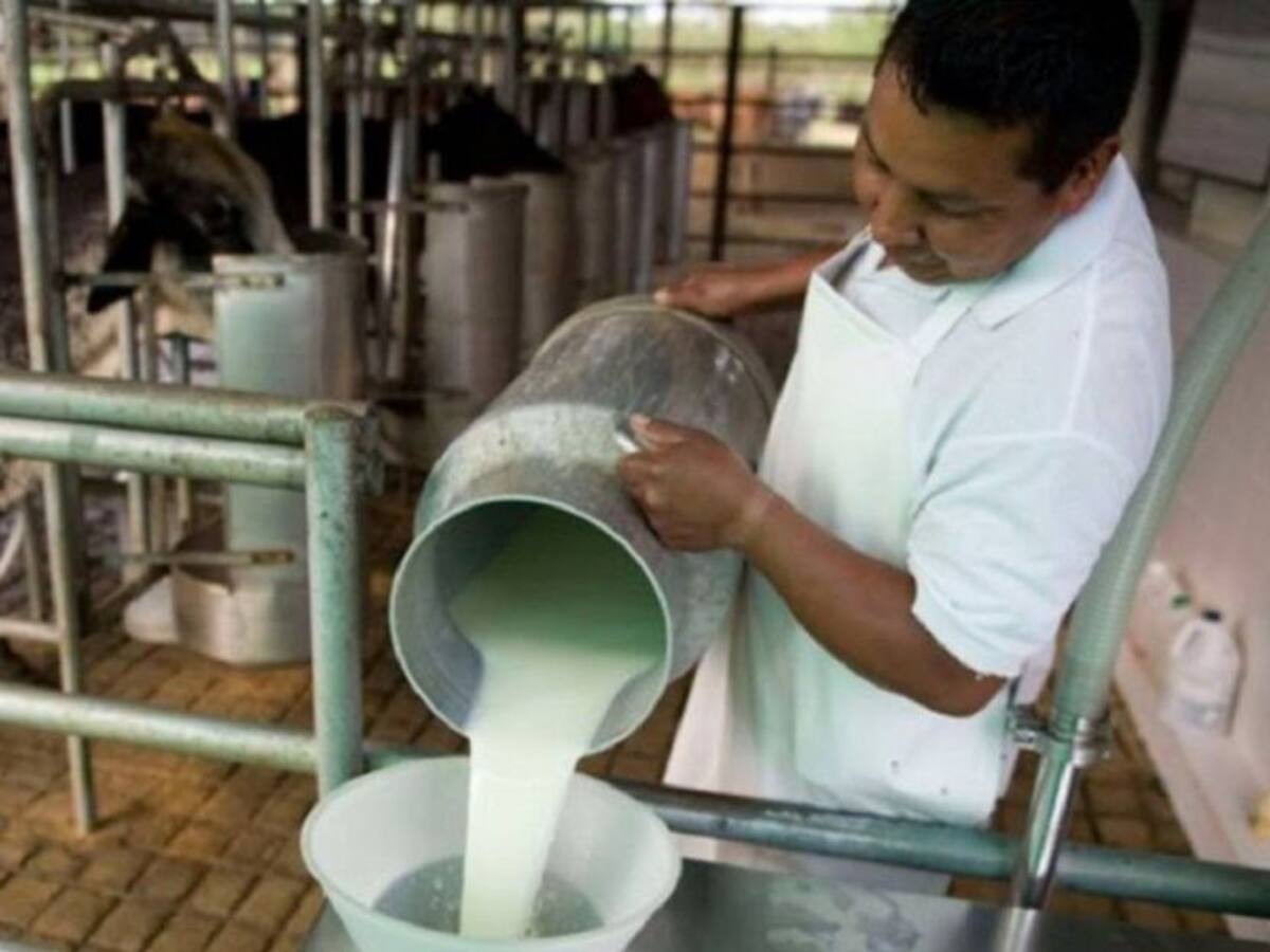800 mil litros de leche se perdieron durante el paro armado en Antioquia