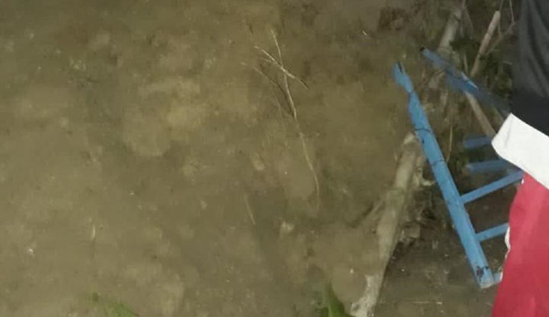 Foto: Enviada desde la Secretaría de Medio Ambiente de Caldas.