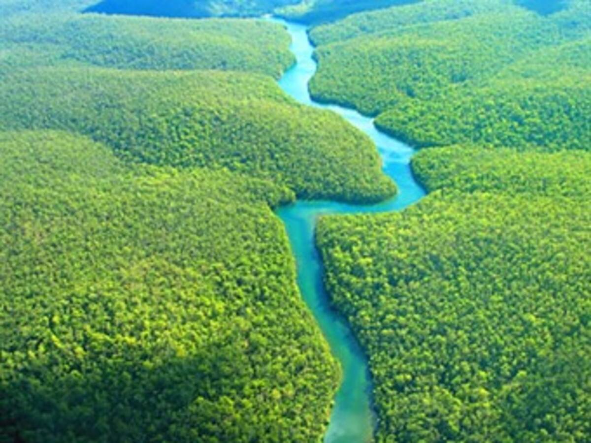 Explotación sin control amenaza Amazonia colombiana